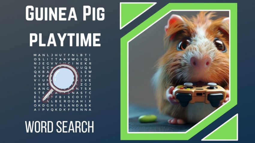 Scurry and Search A Guinea Pig Playtime Puzzle